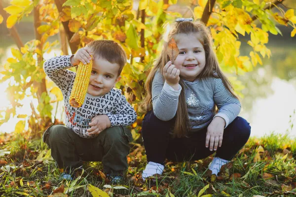 Egy gyönyörű család járt nálam, akikkel elkészítettük őszi sorozatukat! Köszönöm